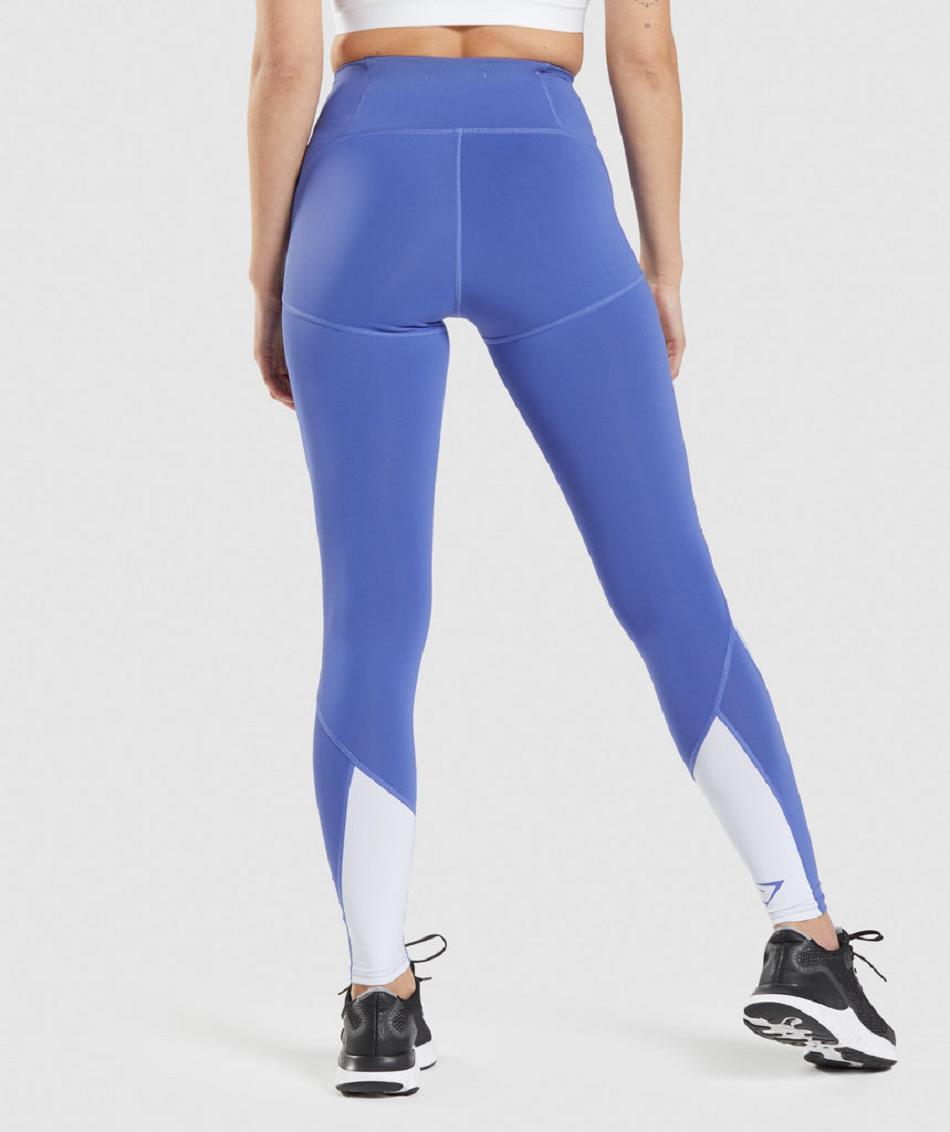 Leggins Gymshark Pulse Mesh Mujer Azules Azules Blancas | CO 2923QMA